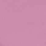 rose resmi